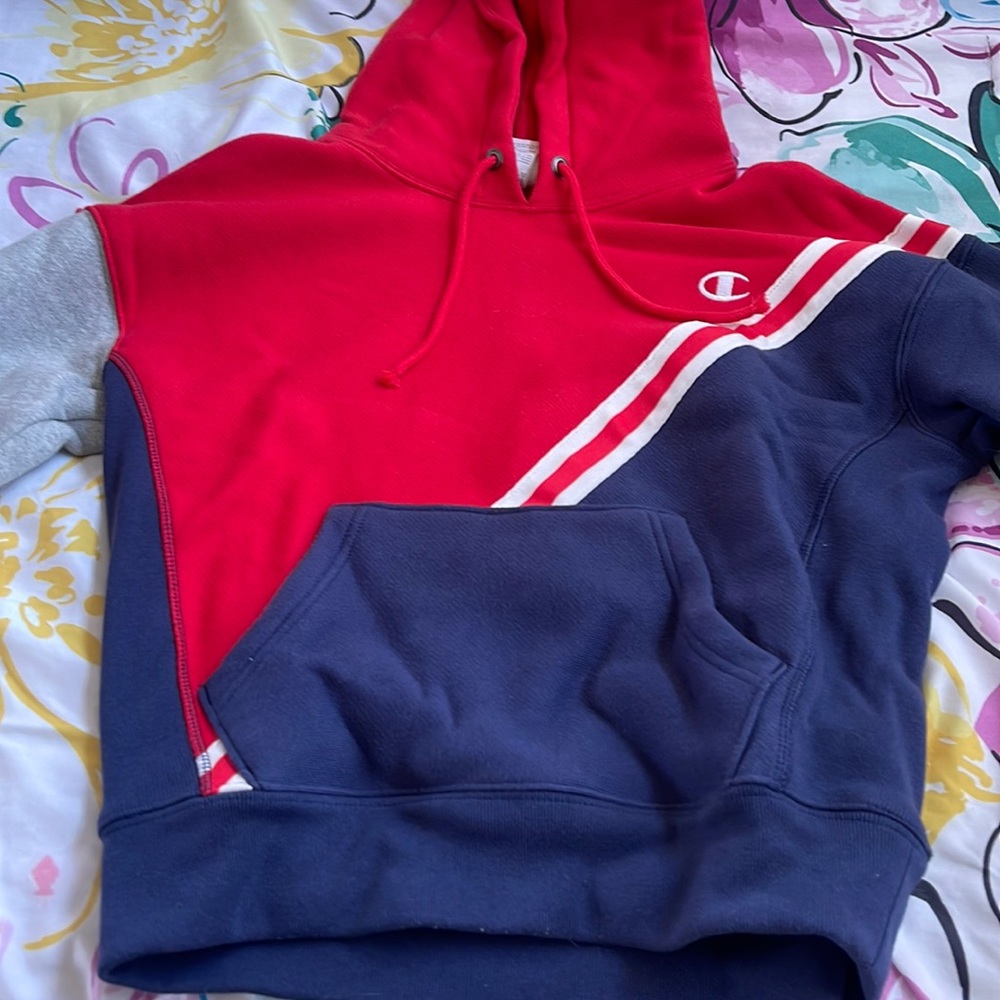Selling this color block champion crewneck.